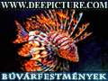www.deepicture.com